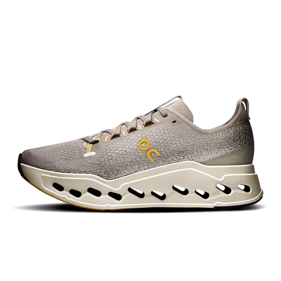 Cloudsurfer Max Cinder Pelican