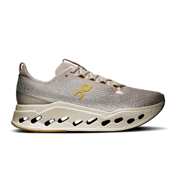 Cloudsurfer Max Cinder Pelican